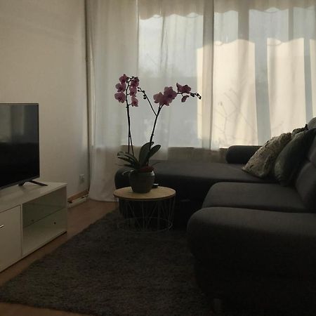 Bel Appartement near Bâle Mulhouse Airport Saint-Louis (Haut-Rhin) Exterior foto