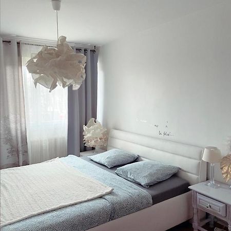 Bel Appartement near Bâle Mulhouse Airport Saint-Louis (Haut-Rhin) Exterior foto