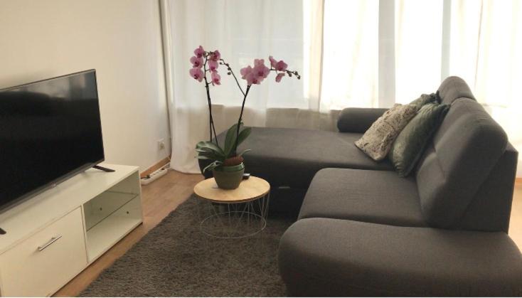 Bel Appartement near Bâle Mulhouse Airport Saint-Louis (Haut-Rhin) Exterior foto