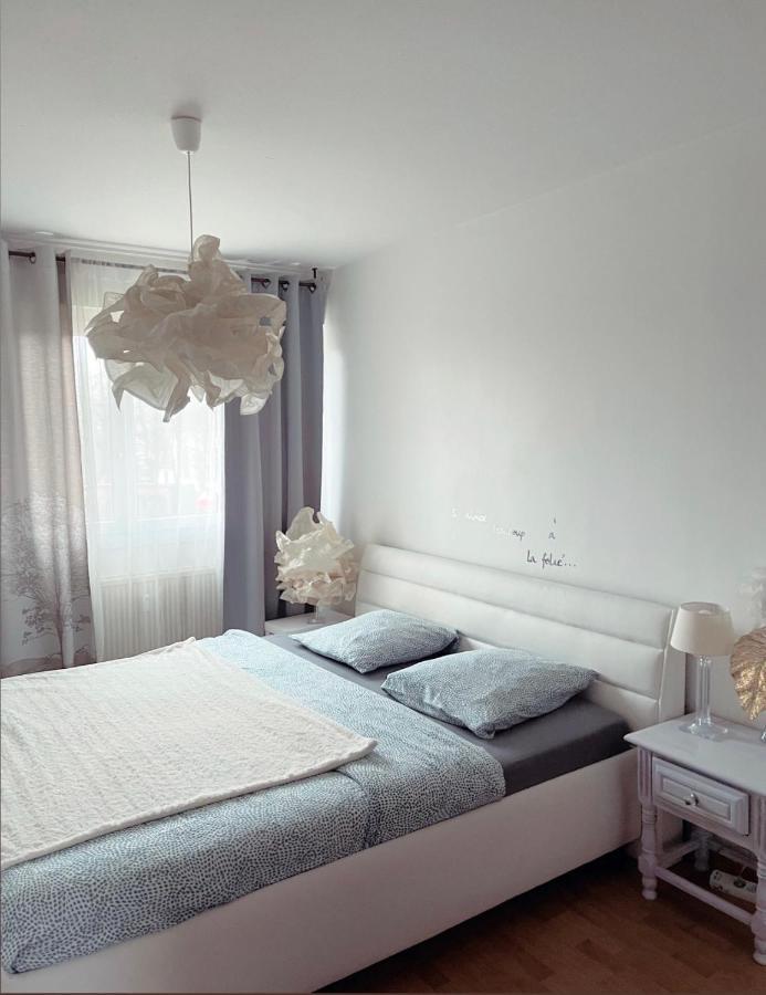 Bel Appartement near Bâle Mulhouse Airport Saint-Louis (Haut-Rhin) Exterior foto