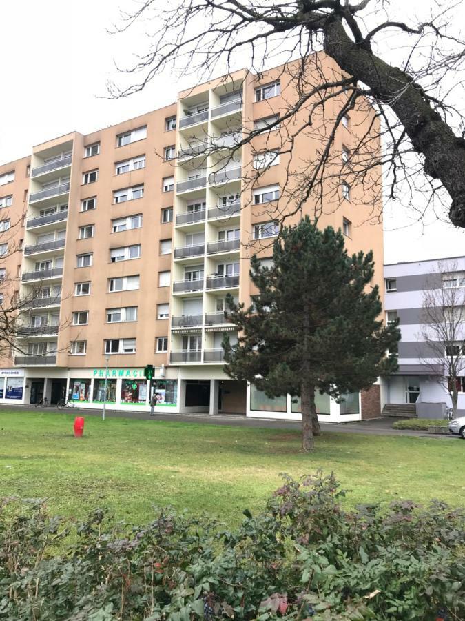 Bel Appartement near Bâle Mulhouse Airport Saint-Louis (Haut-Rhin) Exterior foto