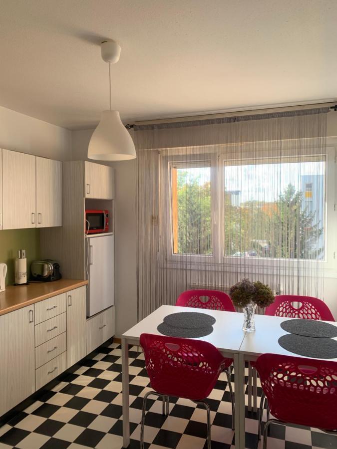 Bel Appartement near Bâle Mulhouse Airport Saint-Louis (Haut-Rhin) Exterior foto
